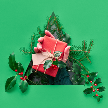 Have a Merry Sustainable Christmas - Save the Earth and your Wallet too! - 1 December 2020