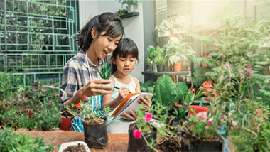 How gardening can save money and improve your health
