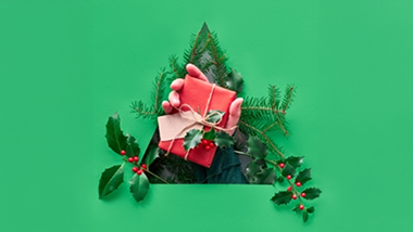 Have a Merry “Sustainable” Christmas: Save the Earth and your Wallet too!