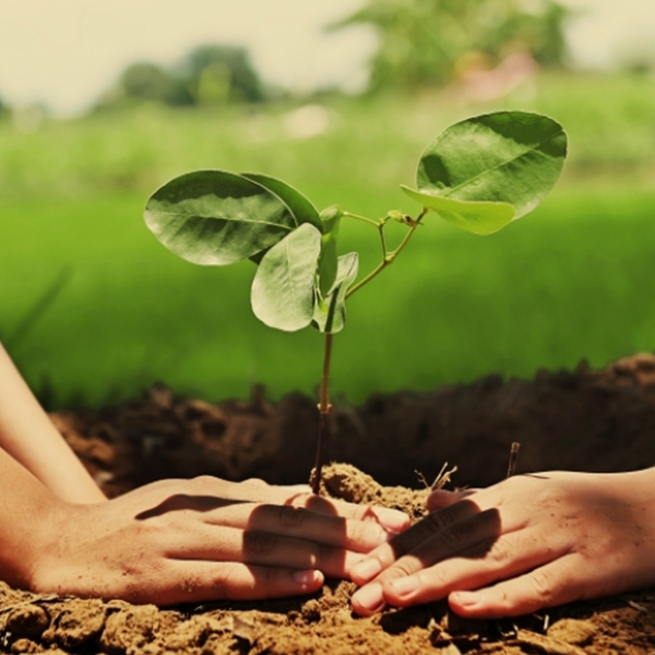 Climate-Resilience