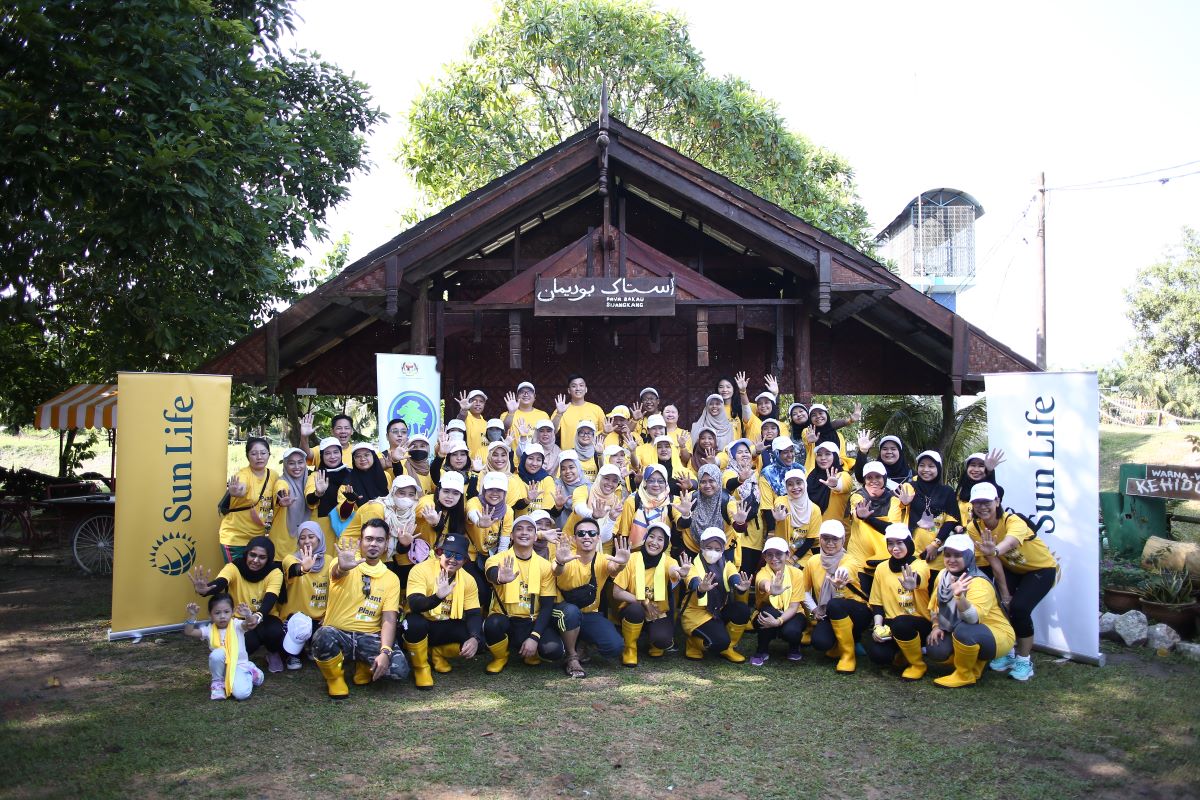 Tree-Planting-4.jpg