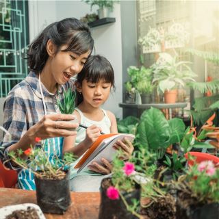 How gardening can save money and improve your health - 1 April 2022