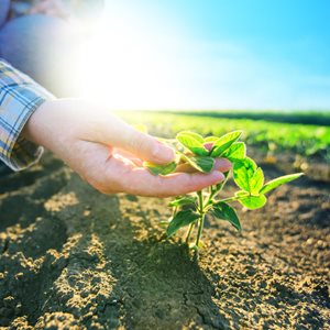 Shrink your carbon footprint today